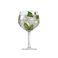 BICCHIERE DA GIN